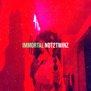 NOT2TWINZ - Immortal