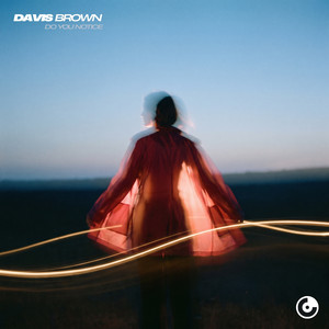 Do You Notice by Davis Brown