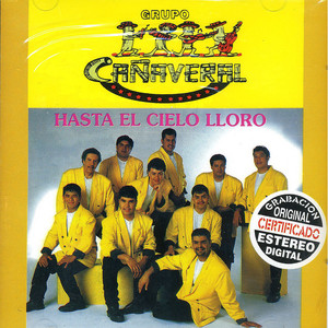 Hasta El Cielo Lloro cover