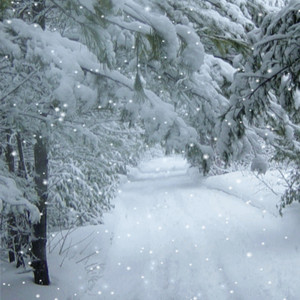 Farouk Kays - Falling snow