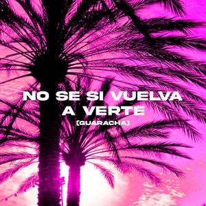 Chichee, DJ Cuba & DJ Pirata - No Se Si Vuelva A Verte (Guaracha)