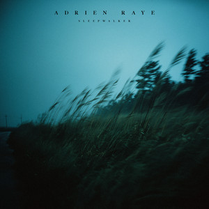 Faded Hour by Adrien Raye