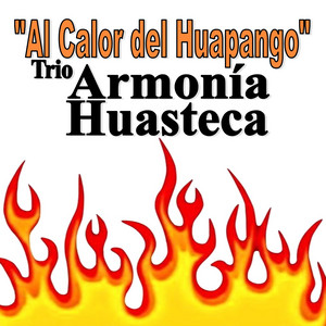 Trio Armonia Huasteca - La Malagueña