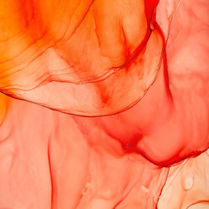 flesh by Nisessy, Jonas Aden, Reece Low, Alpharock