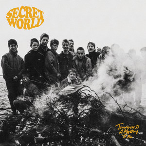 Through The Night by Secret World