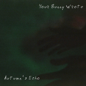 Your Bunny Wrote | Spotify