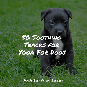 50 Soothing Tracks for Yoga For Dogs album
