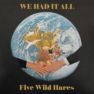 We Had It All by Five Wild Hares