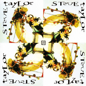 The Finish Line by Steve Taylor