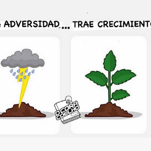 Elvy D Cora el Don de la Rima - Agradezco