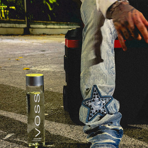 Voss by Theo Acosta
