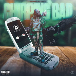 Portada de Chirping Bad