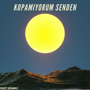Kopamıyorum Senden by Ferit Sönmez
