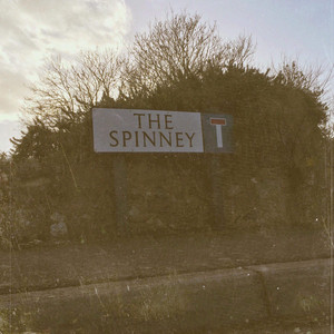 Social Sights - The Spinney