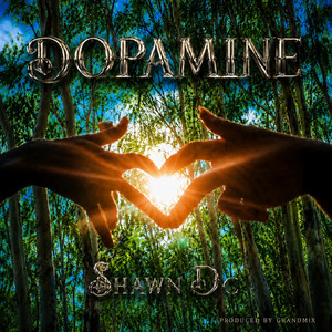 Dopamine by Shawn Dc