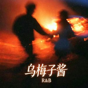 乌梅子酱 (R&B) 对唱 翻唱版 by 你的名字-七七