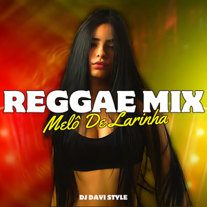 DJ DAVI STYLE - Melô De Larinha