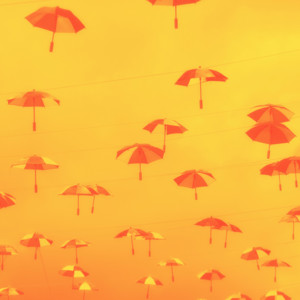 Raindrops album cover