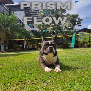 Prism Flow by Manolo Reyes