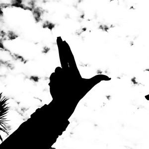 Gun Sign by Lem