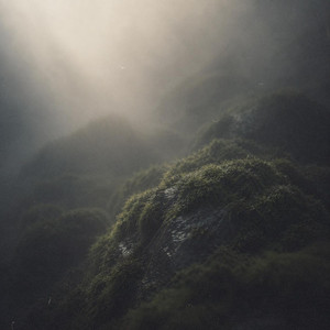 Luminous Moss by Emil Lichtenstein
