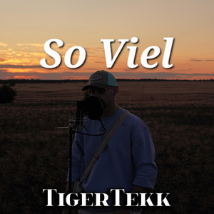 So Viel (Techno Version)