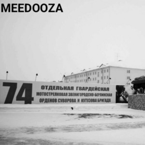 Бешеные псы
