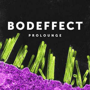 Prolounge by Bodeffect