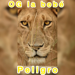 Rojo by OG La Bebe