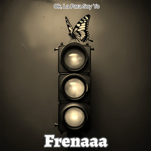 Ok, La Para Soy Yo - Frenaaa