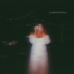 beautiful disturbance by Brittany Bookout
