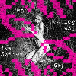 Gaj by Iva Sativa