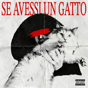 P E G - Se avessi un gatto