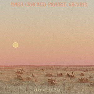 Hard Cracked Prairie Ground by Zara Alexandra