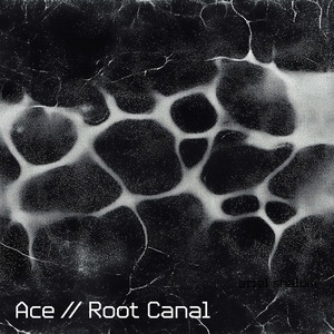 ACE - Root Canal