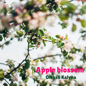 Apple blossom