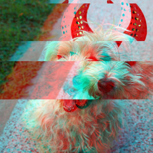 Backdrop for Pleased Puppies - Bossa Guitar Trio album
