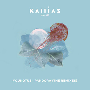 Pandora - Nils Hoffmann Remix cover art