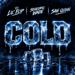 Cold by Lil' Flip, Segedric Wade, San Quinn