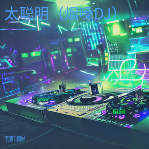 太聪明（烟嗓DJ） by 平潭DJ阿星, DJ阿布