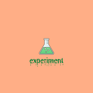 Experiment