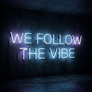 We Follow the Vibe by Joel the melody