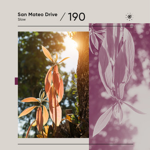 Slow by San Mateo Drive