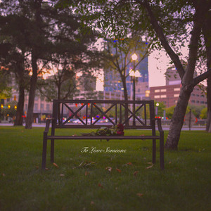 Sunday Afternoon by Cardinal Bloom