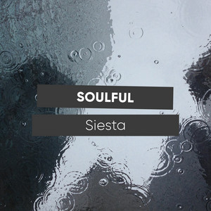 # 1 Album: Soulful Siesta album