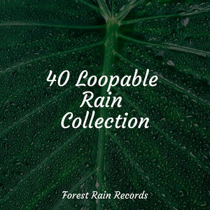 40 Loopable Rain Collection album