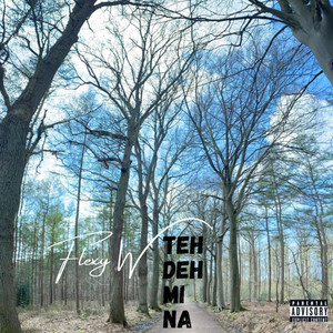 Teh Deh Mi Na by Flexy W