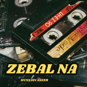 Hussain Aseer - Zebo Nazanin