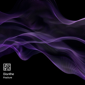 Fracture by Dianthe