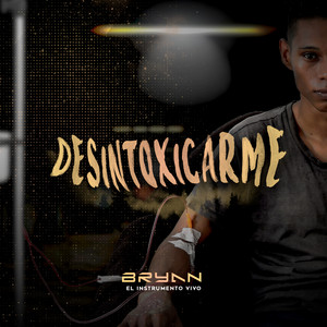 Desintoxicarme by Bryan El Instrumento Vivo